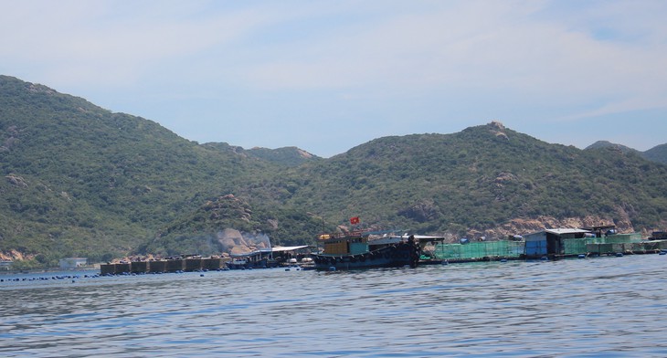Đảo Bình Ba dừng hoạt động du lịch, người dân làm gì để mưu sinh?- Ảnh 2.