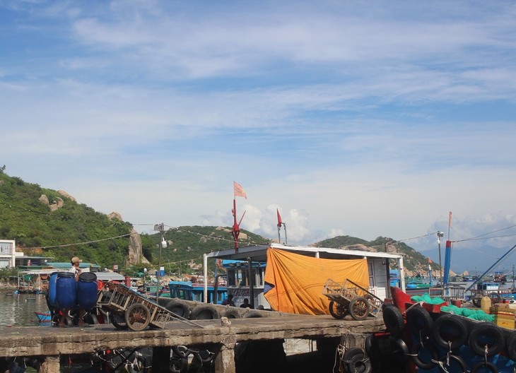 Đảo Bình Ba dừng hoạt động du lịch, người dân làm gì để mưu sinh?- Ảnh 5.