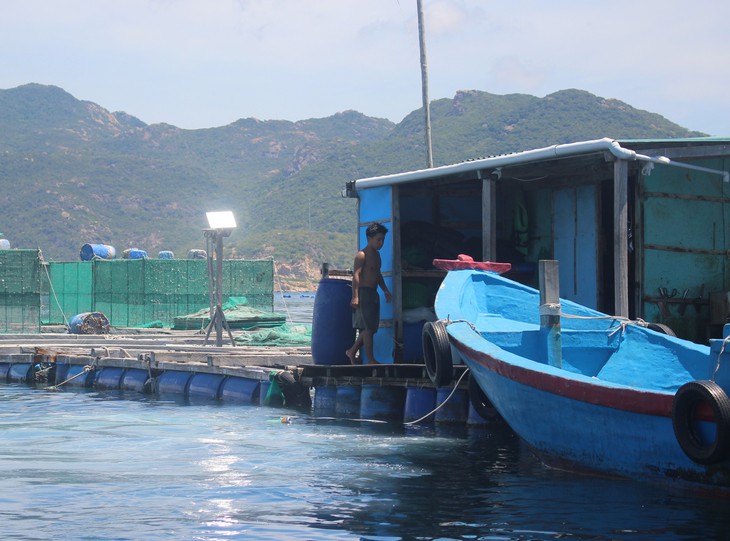 Đảo Bình Ba dừng hoạt động du lịch, người dân làm gì để mưu sinh?- Ảnh 6.