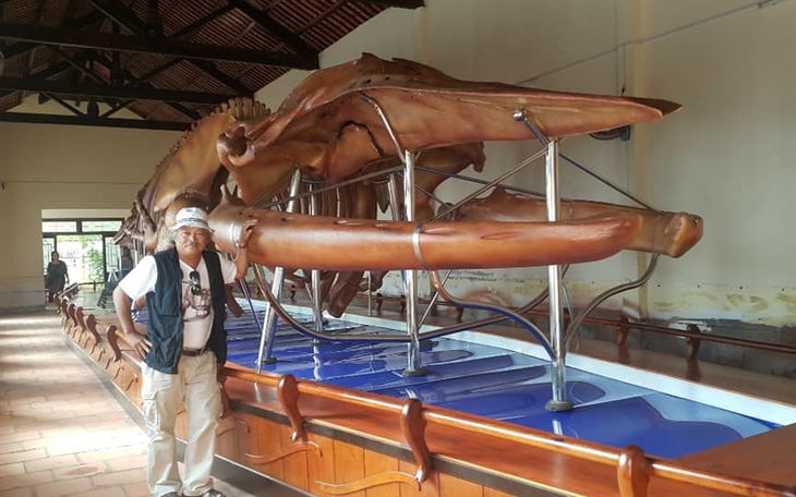 Người ghép nhiều bộ xương khổng lồ của động vật quý hiếm