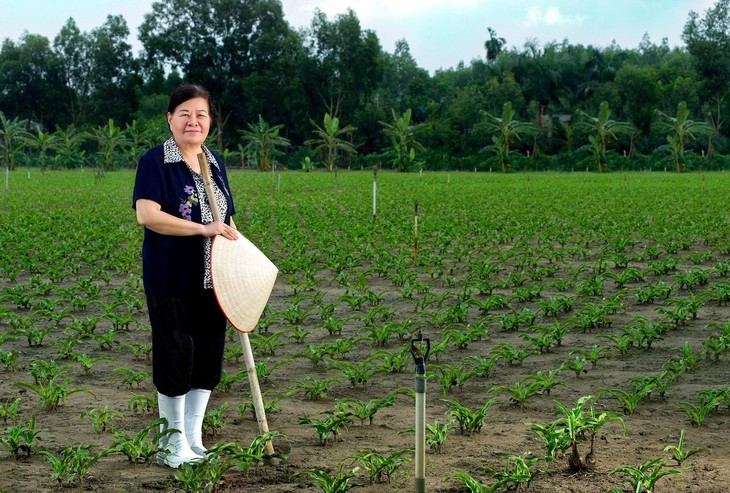 Thảo dược hỗ trợ hạn chế sự phát triển của u xơ tử cung- Ảnh 1.