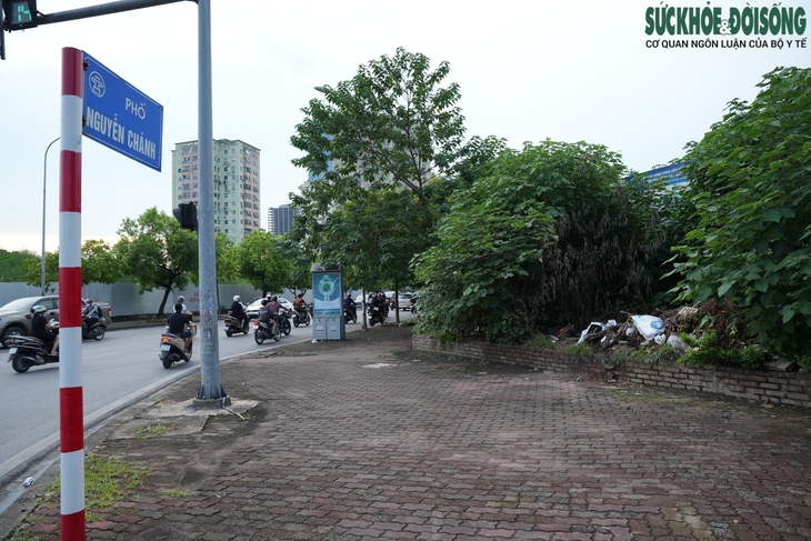 Dự án công viên hơn 10 ha bỏ hoang trên 'đất vàng' tại quận Cầu Giấy- Ảnh 3.