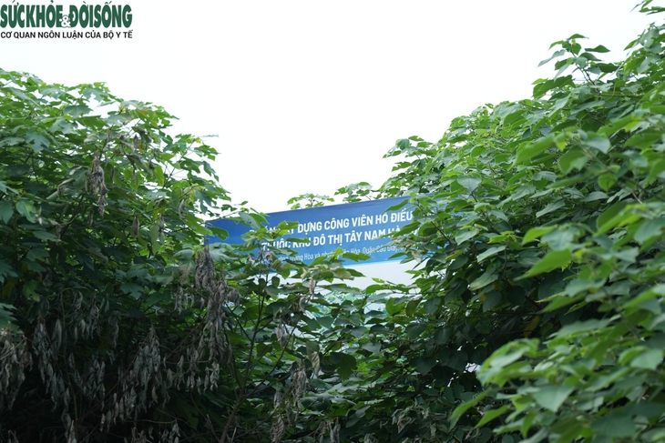 Dự án công viên hơn 10 ha bỏ hoang trên 'đất vàng' tại quận Cầu Giấy- Ảnh 6.