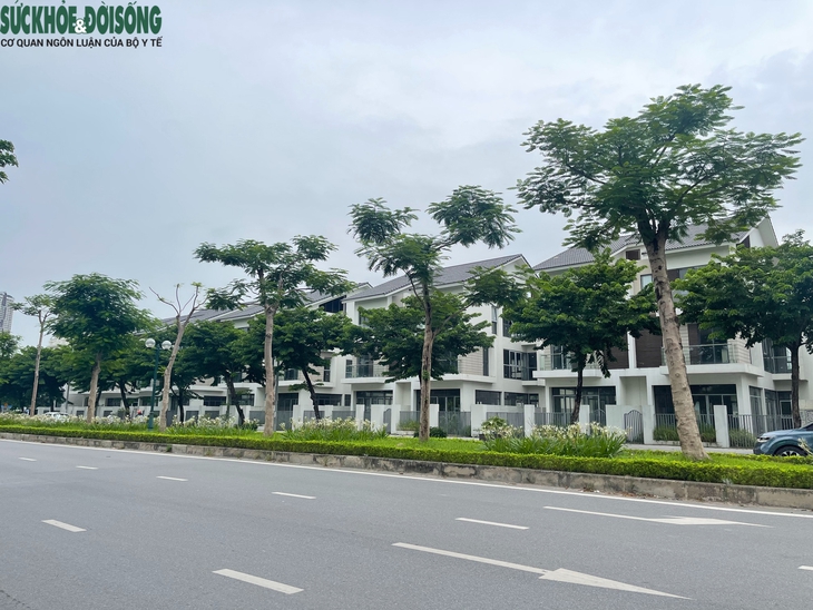 Bất ngờ cá bơi 'tung tăng' dưới hầm biệt thự chục tỷ ở Hà Nội- Ảnh 1.