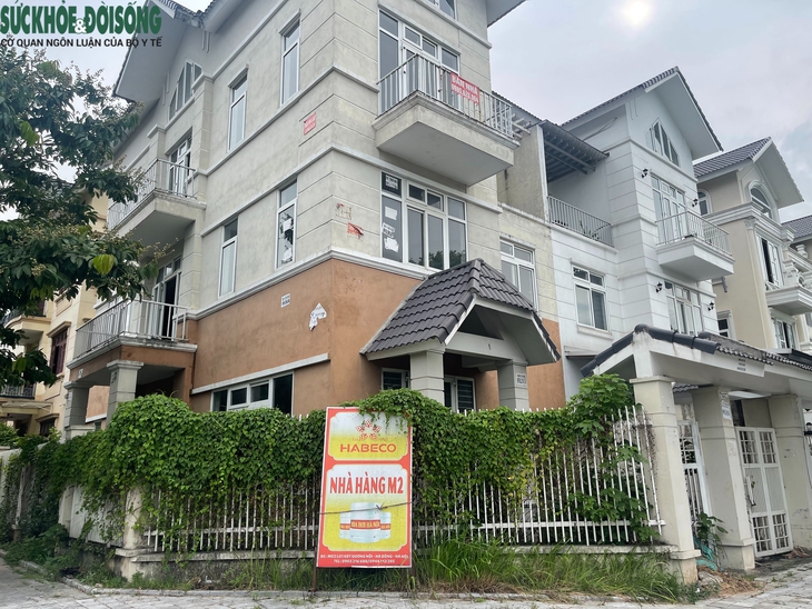 Bất ngờ cá bơi 'tung tăng' dưới hầm biệt thự chục tỷ ở Hà Nội- Ảnh 2.