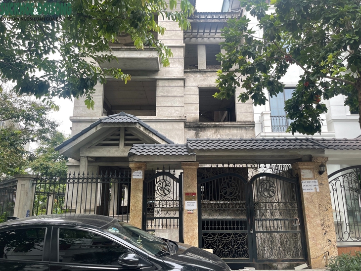 Bất ngờ cá bơi 'tung tăng' dưới hầm biệt thự chục tỷ ở Hà Nội- Ảnh 5.