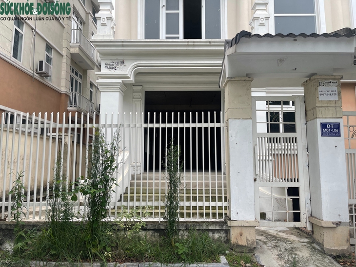 Bất ngờ cá bơi 'tung tăng' dưới hầm biệt thự chục tỷ ở Hà Nội- Ảnh 8.
