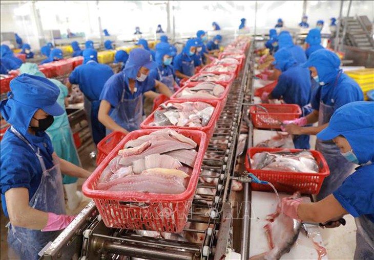 Từ 1/7/2025: Chậm đóng BHXH sẽ bị phạt 0,03%/ngày tiền chậm nộp- Ảnh 1.