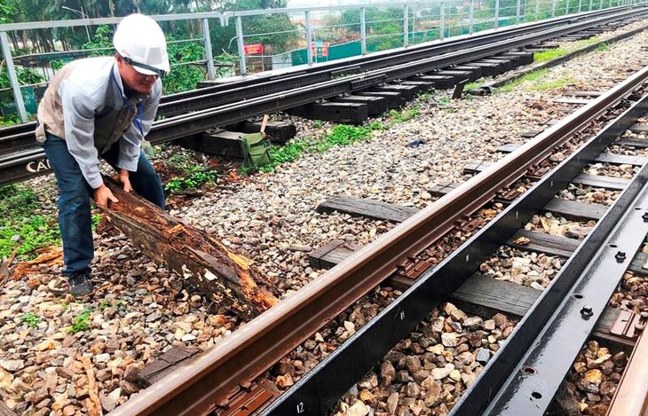 Rà soát, lập danh mục và kinh phí sửa chữa 184 vị trí cắt ngang đường sắt- Ảnh 3. Rà soát, lập danh mục và kinh phí sửa chữa 184 vị trí cắt ngang đường sắt- Ảnh 3.