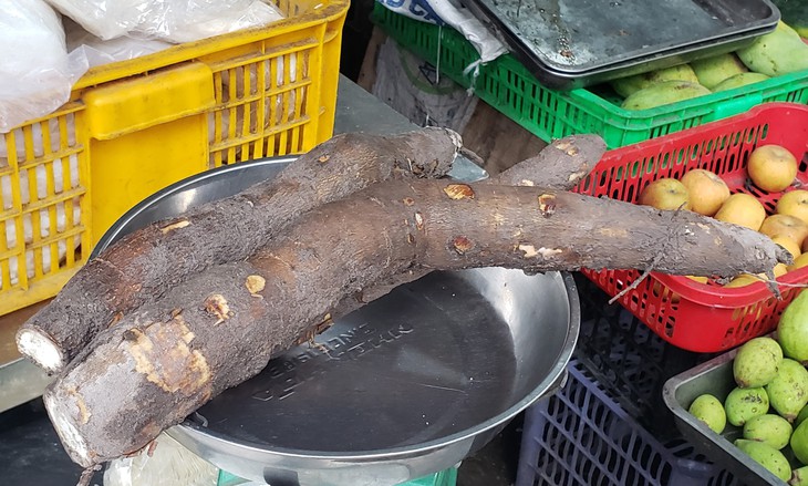 Sắn chứa nhiều chất chuyển hóa thành xyanua. Ảnh: Xuân Dự Sắn chứa nhiều chất chuyển hóa thành xyanua. Ảnh: Xuân Dự