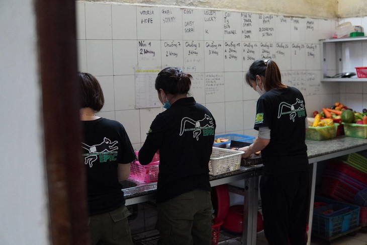 'Ngôi nhà' của những loài linh trưởng quý hiếm
- Ảnh 4. 'Ngôi nhà' của những loài linh trưởng quý hiếm
- Ảnh 4.