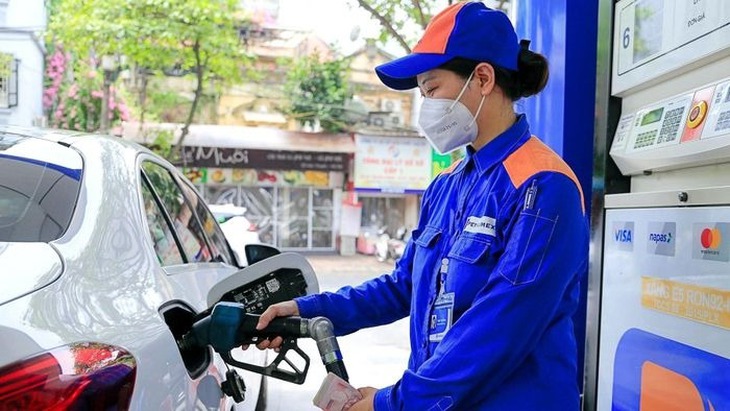 Thủ tướng yêu cầu cung ứng đủ điện, xăng dầu trong mọi tình huống- Ảnh 2.