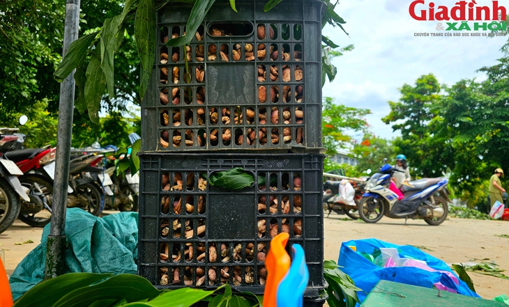 Khu bán nấm tràm 'lộc trời' nhộn nhịp từ sáng đến đêm bên cạnh di tích Huế- Ảnh 2. Khu bán nấm tràm 'lộc trời' nhộn nhịp từ sáng đến đêm bên cạnh di tích Huế- Ảnh 2.