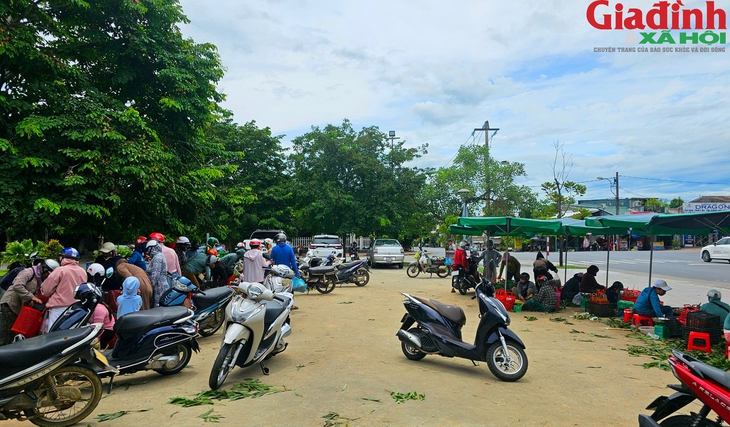 Khu bán nấm tràm 'lộc trời' nhộn nhịp từ sáng đến đêm bên cạnh di tích Huế- Ảnh 3. Khu bán nấm tràm 'lộc trời' nhộn nhịp từ sáng đến đêm bên cạnh di tích Huế- Ảnh 3.