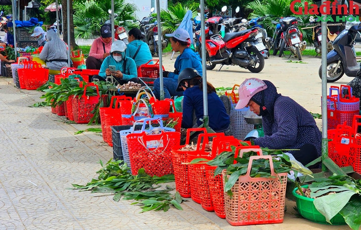 Khu bán nấm tràm 'lộc trời' nhộn nhịp từ sáng đến đêm bên cạnh di tích Huế- Ảnh 11. Khu bán nấm tràm 'lộc trời' nhộn nhịp từ sáng đến đêm bên cạnh di tích Huế- Ảnh 11.