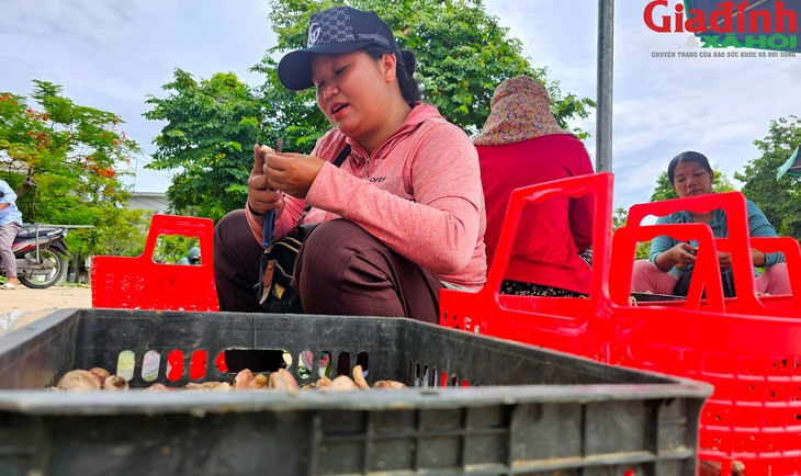 Khu bán nấm tràm 'lộc trời' nhộn nhịp từ sáng đến đêm bên cạnh di tích Huế- Ảnh 10. Khu bán nấm tràm 'lộc trời' nhộn nhịp từ sáng đến đêm bên cạnh di tích Huế- Ảnh 10.