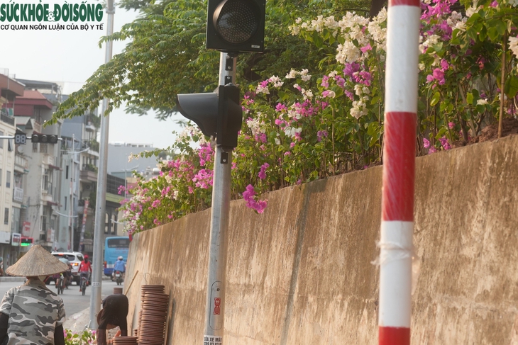 Cận cảnh đường Âu Cơ trước thời điểm thông xe- Ảnh 5.
