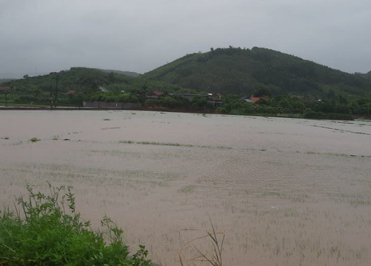 bắc giang