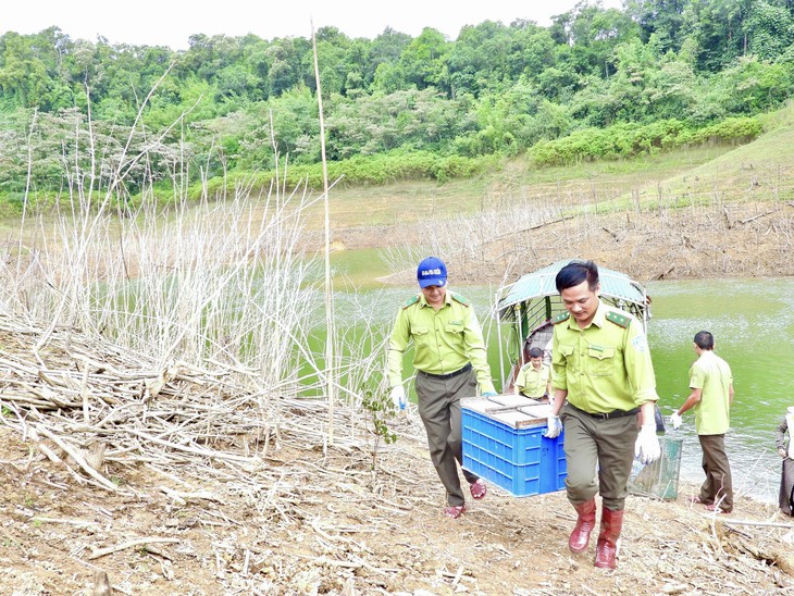 Thả 36 cá thể động vật hoang dã quý hiếm về môi trường tự nhiên- Ảnh 1. Thả 36 cá thể động vật hoang dã quý hiếm về môi trường tự nhiên- Ảnh 1.