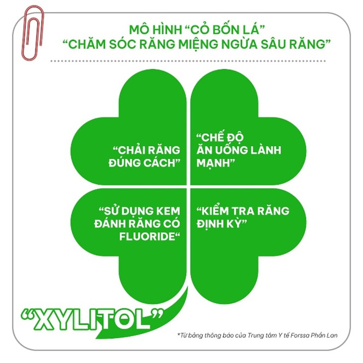 Quy trình chăm sóc răng miệng "chuẩn" từ Phần Lan- Ảnh 4. Quy trình chăm sóc răng miệng "chuẩn" từ Phần Lan- Ảnh 4.