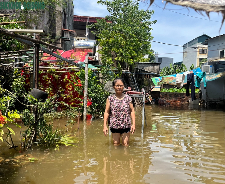 Hàng trăm hộ dân phố Miêu Nha, Tây Mỗ khốn khổ sống trong cảnh nước ngập mênh mông - Ảnh 7.