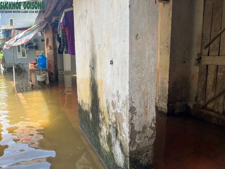 Hàng trăm hộ dân phố Miêu Nha, Tây Mỗ khốn khổ sống trong cảnh nước ngập mênh mông - Ảnh 13.