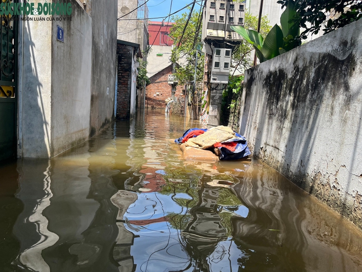 Hàng trăm hộ dân phố Miêu Nha, Tây Mỗ khốn khổ sống trong cảnh nước ngập mênh mông - Ảnh 2.