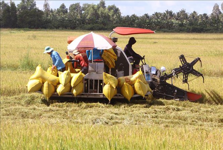 Xuất khẩu gạo đạt trên 4,8 triệu tấn- Ảnh 1. Xuất khẩu gạo đạt trên 4,8 triệu tấn- Ảnh 1.