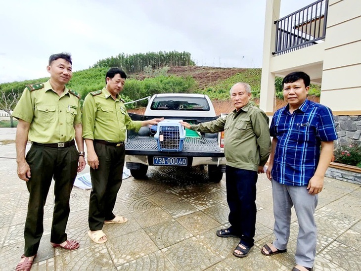 Người dân giao nộp động vật quý hiếm nằm trong Sách đỏ Việt Nam- Ảnh 1.