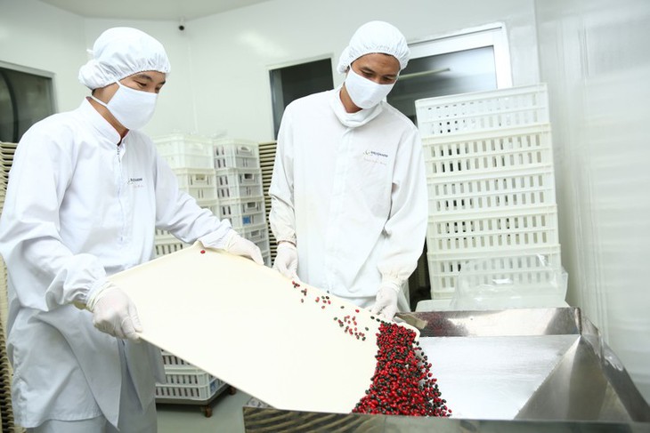 Chiến lược phát triển ngành Dược: Xác định hướng đi để ngành Dược phát triển cao hơn- Ảnh 4. Chiến lược phát triển ngành Dược: Xác định hướng đi để ngành Dược phát triển cao hơn- Ảnh 4.