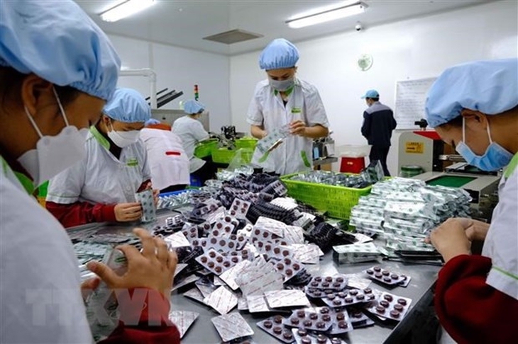 Chiến lược phát triển ngành Dược: Xác định hướng đi để ngành Dược phát triển cao hơn- Ảnh 3. Chiến lược phát triển ngành Dược: Xác định hướng đi để ngành Dược phát triển cao hơn- Ảnh 3.