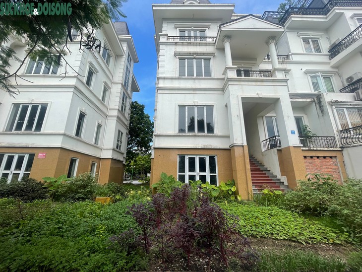 Cận cảnh biệt thự triệu đô bỏ hoang, chỉ để trồng rau- Ảnh 3.