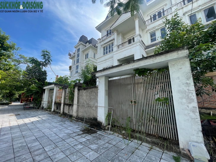 Cận cảnh biệt thự triệu đô bỏ hoang, chỉ để trồng rau- Ảnh 5.