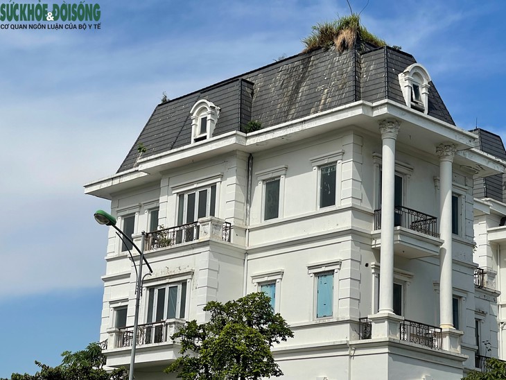 Cận cảnh biệt thự triệu đô bỏ hoang, chỉ để trồng rau- Ảnh 7.