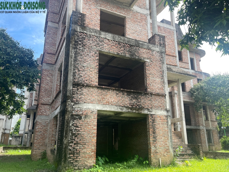Cận cảnh biệt thự triệu đô bỏ hoang, chỉ để trồng rau- Ảnh 8.