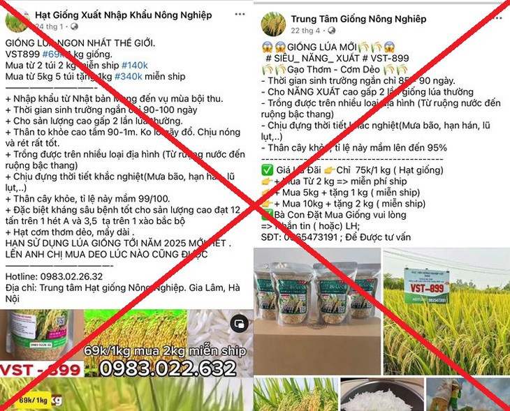 Thủ đoạn tinh vi của nhóm đối tượng lừa bán giống lúa 'rởm' cho người dân khắp cả nước- Ảnh 1.