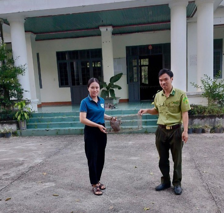 Giúp động vật quý hiếm hồi phục sức khỏe để trở về với thiên nhiên - Ảnh 4.