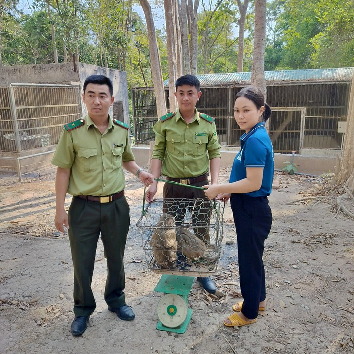 Giúp động vật quý hiếm hồi phục sức khỏe để trở về với thiên nhiên - Ảnh 6.