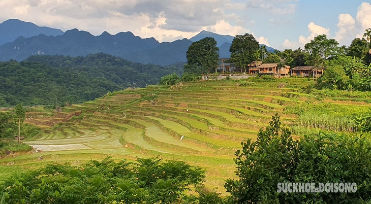 Thiên đường Pù Luông giữa đại ngàn- Ảnh 1.