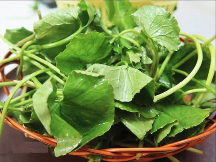 Rau má tốt cho sức khỏe nhưng ai không nên ăn?- Ảnh 1.