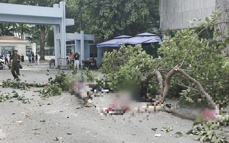 Ai chịu trách nhiệm bồi thường trong vụ nhánh cây rơi làm 2 người tử vong?