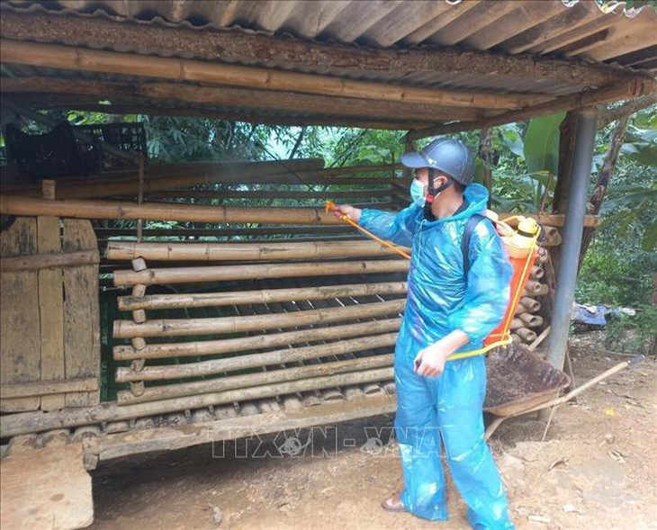 Hà Giang khẩn trương khống chế dịch tả lợn châu Phi- Ảnh 1.