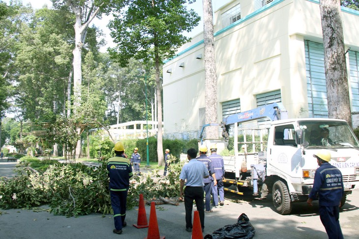 Lực lượng chức năng xử lý sự cố gãy nhánh cây tại công viên Tao Đàn Lực lượng chức năng xử lý sự cố gãy nhánh cây tại công viên Tao Đàn