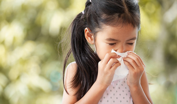Viêm mũi dị ứng: Nguyên nhân, triệu chứng và cách điều trị- Ảnh 2.