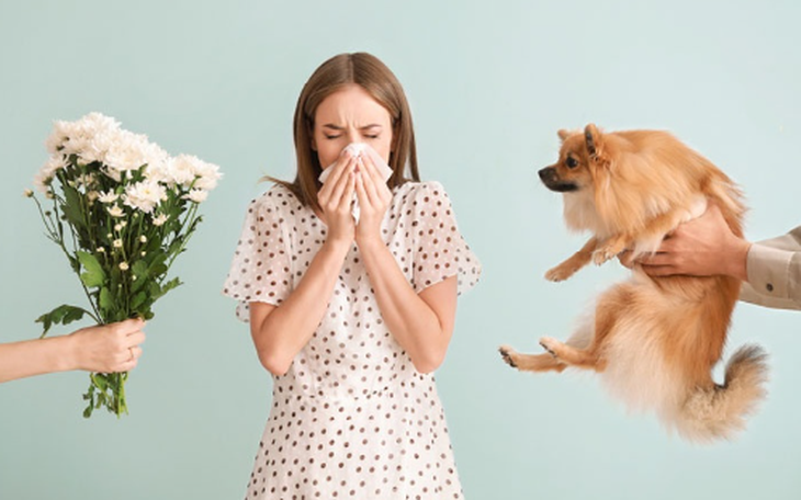 Viêm mũi dị ứng: Nguyên nhân, triệu chứng và cách điều trị