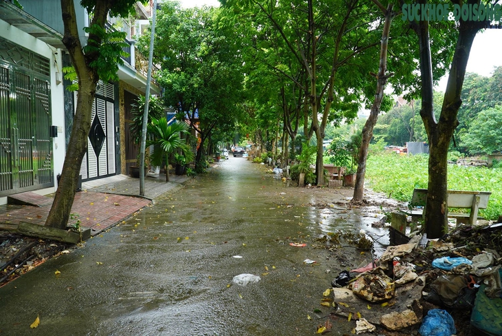Sau 1 tuần dọn vệ sinh, ao Ngòi - Cầu Trại vẫn ô nhiễm nặng - Ảnh 3.
