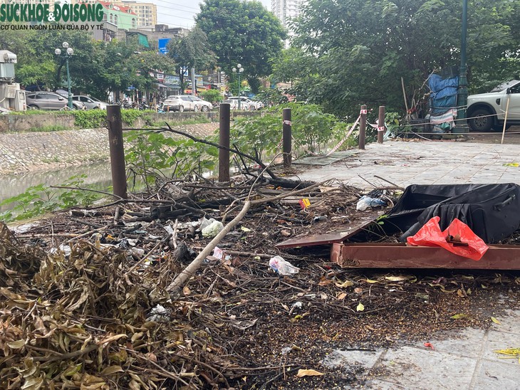 Lan can bờ sông Kim Ngưu xuống cấp, nguy hiểm rình rập người dân- Ảnh 4.