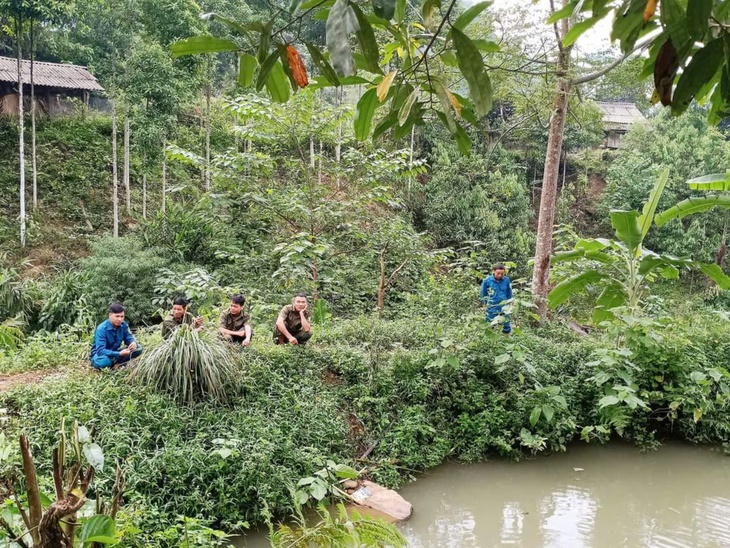 Vẫn chưa tìm thấy bé trai 6 tuổi mất tích trong rừng sâu ở Yên Bái- Ảnh 1. Vẫn chưa tìm thấy bé trai 6 tuổi mất tích trong rừng sâu ở Yên Bái- Ảnh 1.
