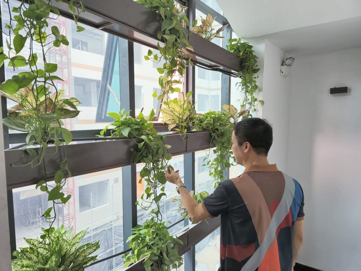 'Bức tường xanh bệnh viện', phong trào ý nghĩa nhằm bảo vệ môi trường và 'xanh hóa' bệnh viện- Ảnh 9. 'Bức tường xanh bệnh viện', phong trào ý nghĩa nhằm bảo vệ môi trường và 'xanh hóa' bệnh viện- Ảnh 9.
