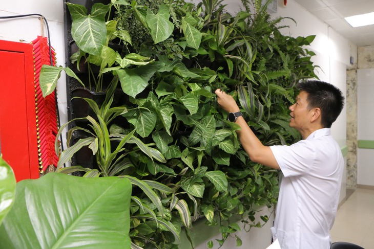 'Bức tường xanh bệnh viện', phong trào ý nghĩa nhằm bảo vệ môi trường và 'xanh hóa' bệnh viện- Ảnh 2. 'Bức tường xanh bệnh viện', phong trào ý nghĩa nhằm bảo vệ môi trường và 'xanh hóa' bệnh viện- Ảnh 2.